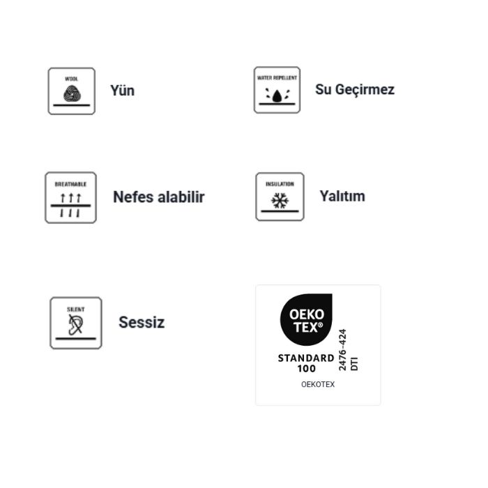 Text