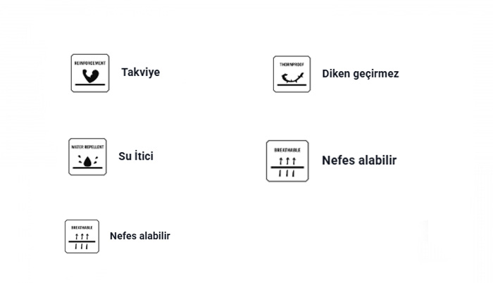 Text